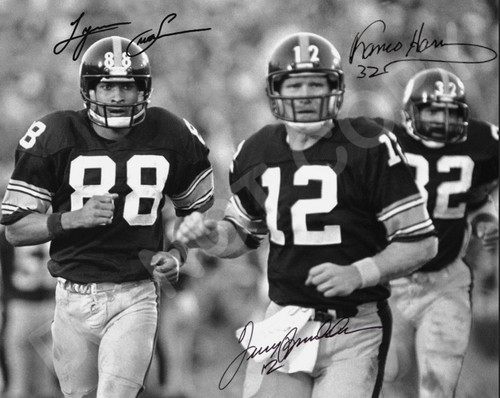 Terry bradshaw lynn swan - bradshaw,