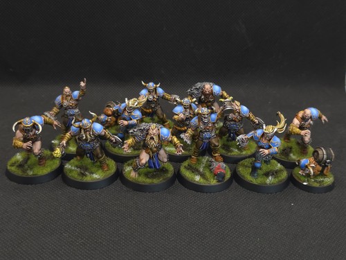 Blood bowl squadra norrena - bowl,