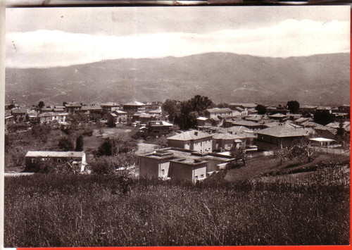 Cartolina dipignano n - b/n, non